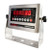 Optima LED Weighing Indicator (NTEP CC #: 09-070A1) OP-900A-12