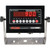 Optima LED Weighing Indicator with W/ 4-20ma Relay Outputs (NTEP CC #: 09-070A1) OP-900R1-12
