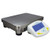 AE Adam PGL-3002 Precision Balance