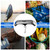 LS-110 DIGITAL HANGING LUGGAGE SCALE, 110LBS X 0.2LBS