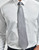 Premier 'Colours' Fashion Clip Tie PR785