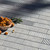Edgestone 3" x 12" 60mm Edger Edgestone 3" x 12" 60mm Edger