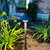 Traditional Path Light Traditional Path Light