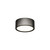 Ceiling or Soffit Light Ceiling or Soffit Light