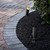 Traditional Accent Light Traditional Accent Light