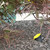 Sealed In-Ground Well Light Sealed In-Ground Well Light