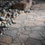 Mega Arbel 60mm Color Tech Paver