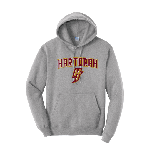 YHT Port & Co Youth & Adult Fleece Hoodie Grey