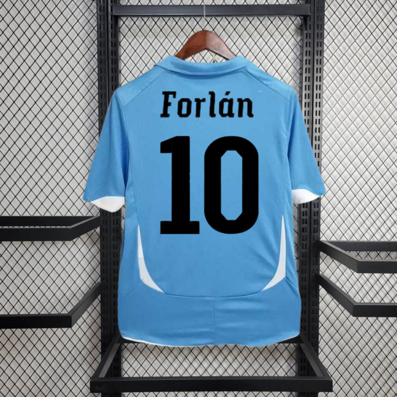 Uruguay 2010 World Cup Home