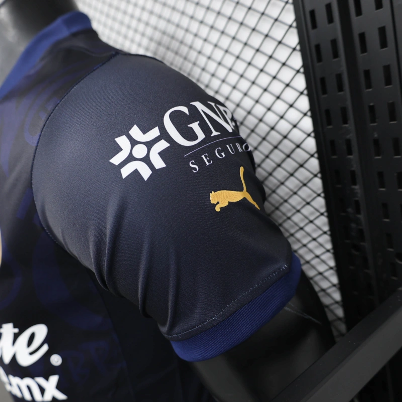 Chivas 2024/25 Third Player Version Jersey