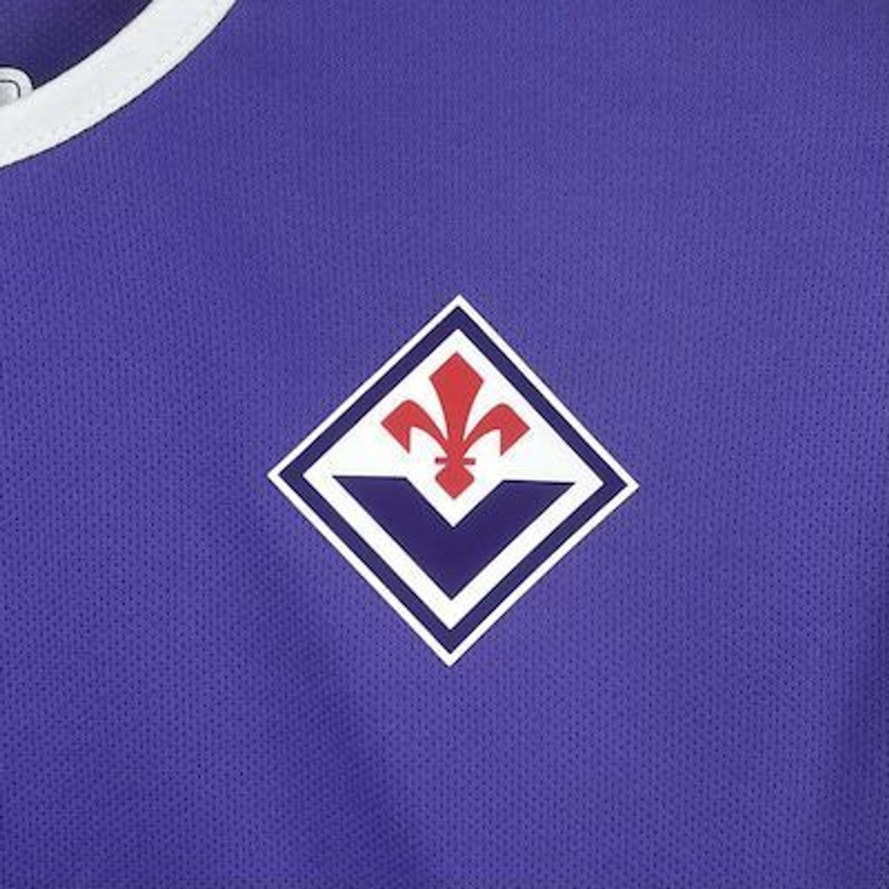 Fiorentina 2025/26 home