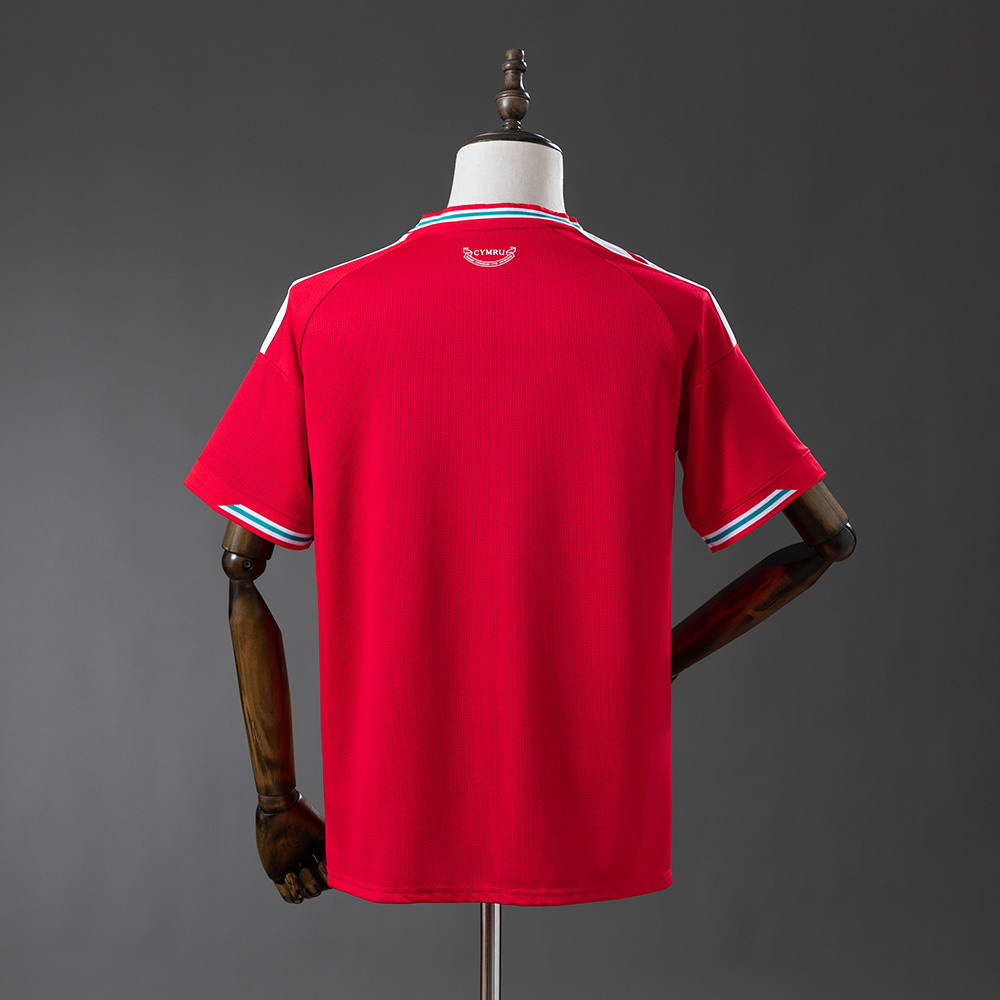 Wales World Cup 2026 Home