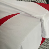 Peru 2024 Copa America Home