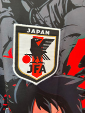 Japan 2025 Special Edition VI