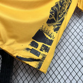 Inter Milan 2024/25 Third Champions League Final