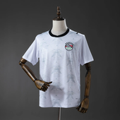 Egypt World Cup 2026 Away Jersey
