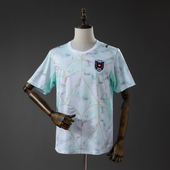 Austria World Cup 2026 Away