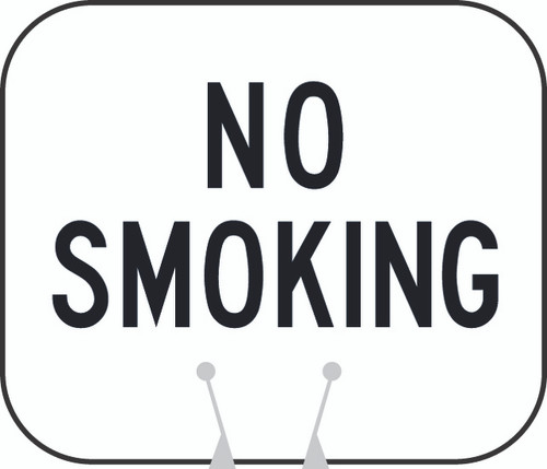 Cone and Delineator No Smoking Sign