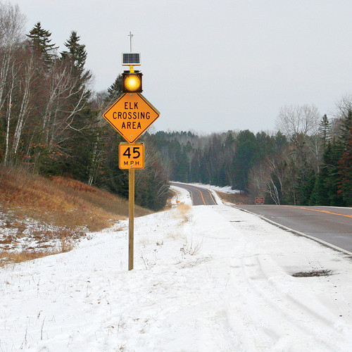 Wildlife Warning BlinkerBeacon®