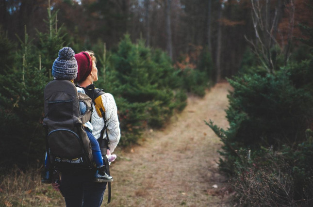 Hiking with Kids: The Ultimate Guide for Family Adventure