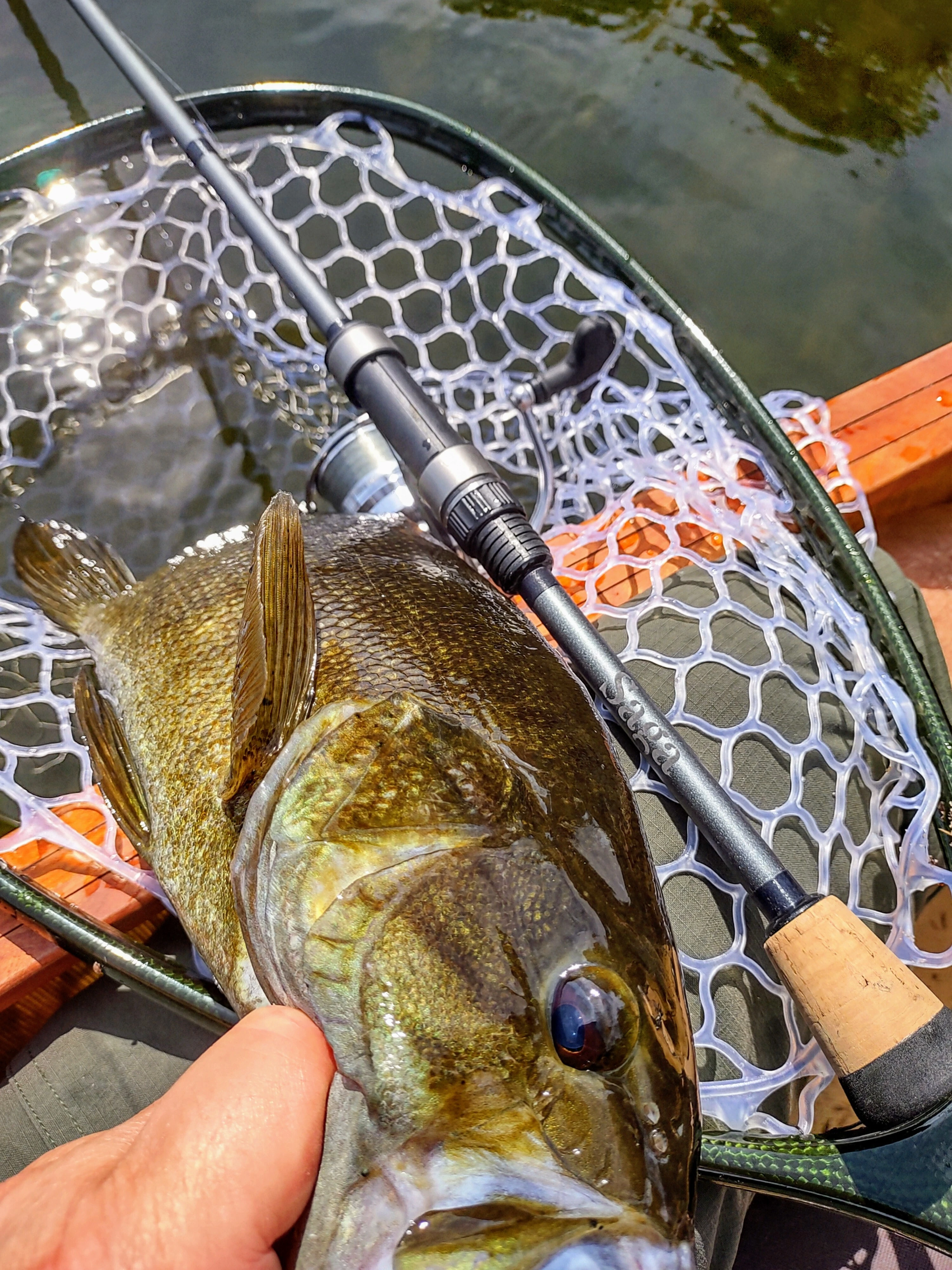review image 1 - early season smallmouth caught from a canoe on a wilderness river