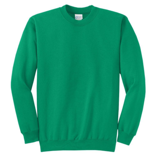 Heavyweight Crewneck Unisex Sweatshirt-AiNGrp