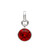 Sterling Silver Birthstone Pendant Adorned with Swarovski® Crystal - January