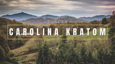 ​Exploring Carolina Kratom: Your Guide to Kratom in the Carolinas