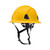Radians RHF2 Dareware X Type II Class E Full Brim Safety Helmets