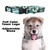 Texas Longhorns Pet Collar Size M - Special Order