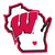Wisconsin Badgers Decal Home State Pride Style