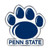 Penn State Nittany Lions Auto Emblem Color Alternate Logo
