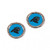 Carolina Panthers Earrings Post Style - Special Order