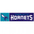 Charlotte Hornets Decal 3x12 Bumper Strip Style - Special Order