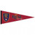 Real Salt Lake Pennant 12x30 Premium Style - Special Order