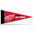 Detroit Red Wings Mini Pennants - 8 Piece Set - Special Order