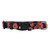 Syracuse Orange Pet Collar Size L - Special Order