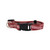 Indiana Hoosiers Pet Collar Size L - Special Order