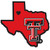 Texas Tech Red Raiders Decal Home State Pride Style - Special Order