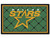 Dallas Stars Area Rug - 5x8 - Special Order