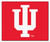 Indiana Hoosiers Area Rug - Tailgater - Special Order