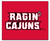 Louisiana Lafayette Ragin Cajuns Area Rug - Tailgater - Special Order