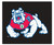 Fresno State Bulldogs Area Rug - Tailgater - Special Order