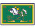Notre Dame Fighting Irish Area rug - 4'x6' - Special Order