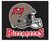 Tampa Bay Buccaneers Area Mat Tailgater - Special Order