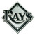 Tampa Bay Rays Auto Emblem Premium Metal Chrome Special Order