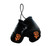 San Francisco Giants Boxing Gloves Mini CO