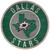 Dallas Stars Sign Wood 12 Inch Round State Design Special Order