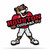 Houston Cougars Pennant Shape Cut Mascot Design Special Order