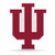 Indiana Hoosiers Pennant Shape Cut Logo Design - Special Order